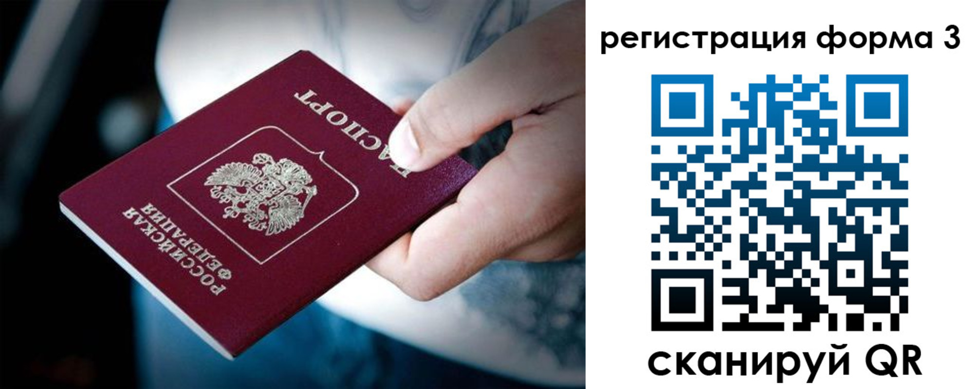 прописка для школы в Новгородской области